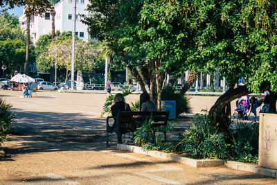 Trees and plants in park