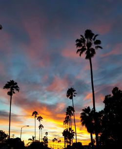 Silhouette palm trees on beach against sky at sunset