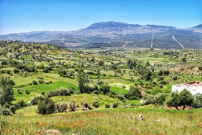 Beautiful nature of tangier city 