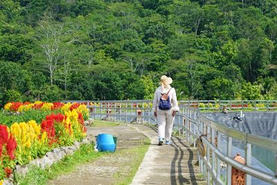 Full length of woman walking on flowering plants