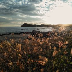 Scenic view of sea against sky during sunset