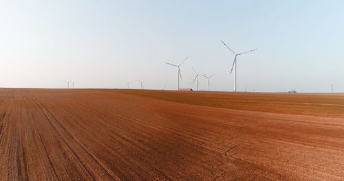 Scenic view of agricultural field against clear sky