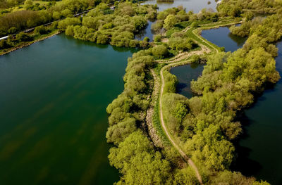 High angle view of river amidst trees