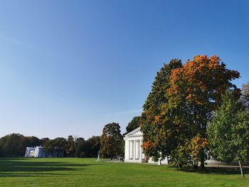 Trees growing on field against clear blue sky