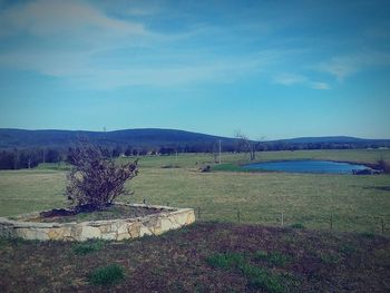 Scenic view of field against sky