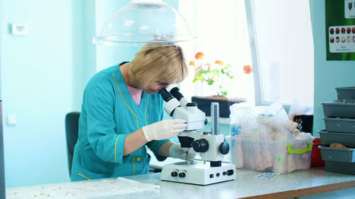 Biochemist working in the lab with sprouted, rooted corn seeds, examines them with microscope, in