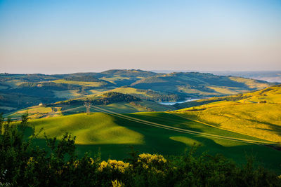 Scenic view of field against clear sky