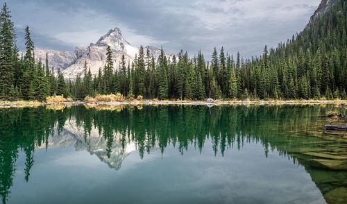 Reflection of trees in lake against sky