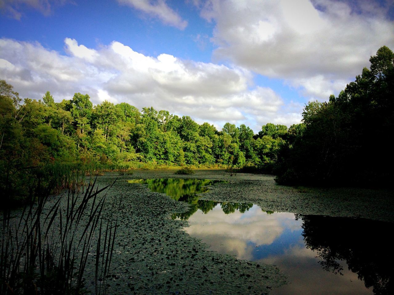 reflection, water, sky, tranquil scene, tranquility, tree, lake, scenics, cloud - sky, beauty in nature, standing water, nature, cloud, waterfront, cloudy, idyllic, calm, river, outdoors, non-urban scene