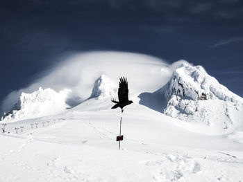 Scenic view of snowcapped mountain against sky