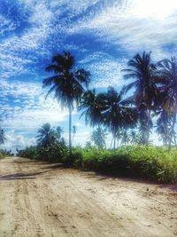 Palm trees on field against cloudy sky