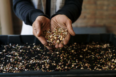 Hands holding variety of seeds over tray