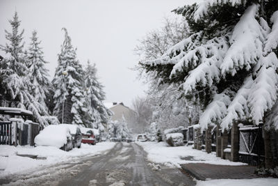 Snow covered road amidst trees against sky