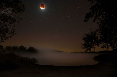 Moon in sky at night