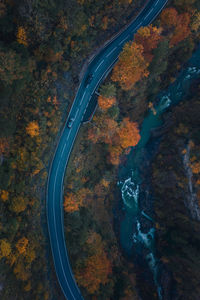 High angle view of road amidst trees during autumn