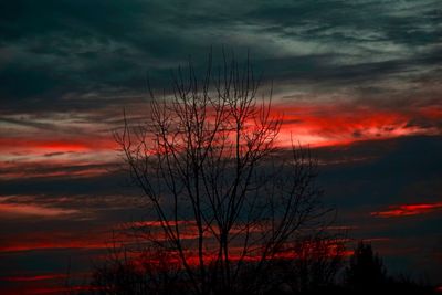 Low angle view of silhouette bare trees against dramatic sky