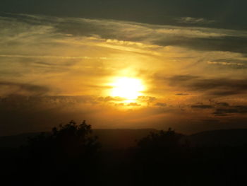 Silhouette trees against sky during sunset