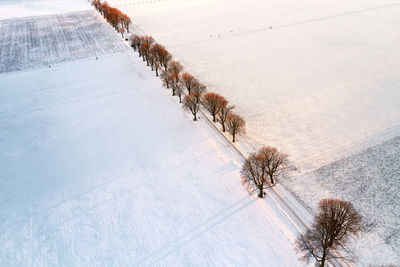 Drone view of a tree line and alley road through a field covered with snow during sunset