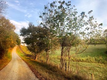 Road amidst trees on field against sky