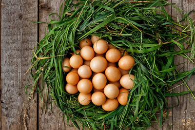 Eggs in grass on table