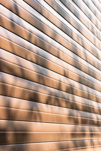 Abstract background with geometric wall lines and plant reflection. tree shadow on the building.