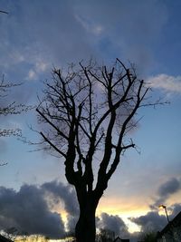 Silhouette tree against sky during sunset