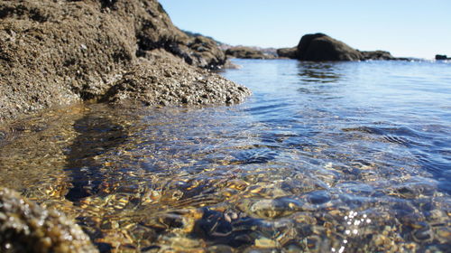 Surface level of rocks in sea