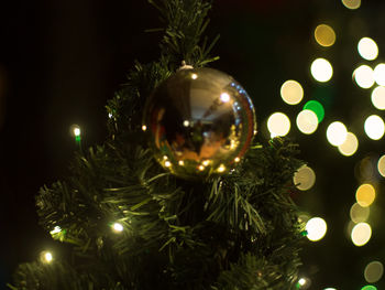 Close-up of illuminated christmas tree at night