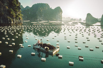High angle view of friends on boat in river
