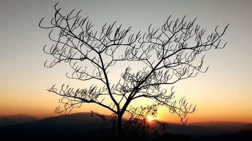 Silhouette bare tree against clear sky during sunset