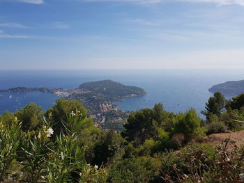 High angle view of sea and trees against sky