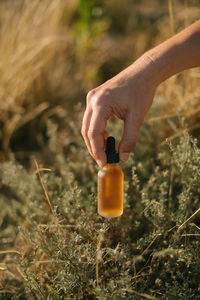 Cropped hand holding bottle over plants