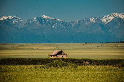 House on field against snowcapped mountains