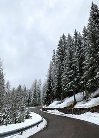 Road amidst trees against sky during winter