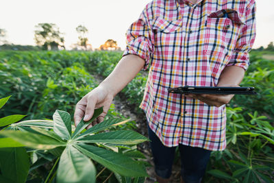 Farmer touch the cassava leaf and holding tablet for record data to conduct research about quality.