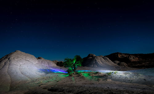 Illuminated tree in desert against sky at night