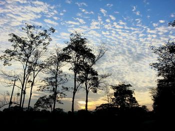 Low angle view of silhouette trees against sky at sunset