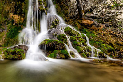 Scenic view of waterfall in forest