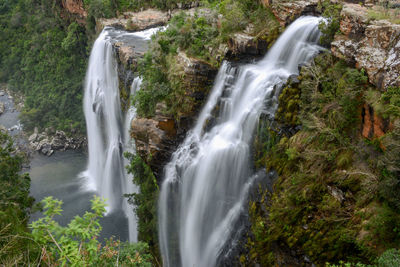 Scenic view of waterfall in forest