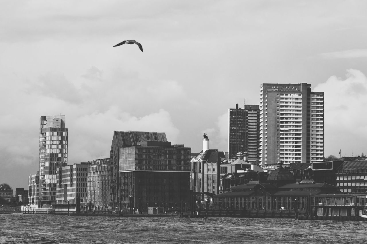 architecture, skyline, building exterior, built structure, black and white, sky, city, bird, flying, building, animal themes, cityscape, monochrome photography, animal, urban area, water, monochrome, wildlife, office building exterior, nature, cloud, skyscraper, animal wildlife, landscape, horizon, urban skyline, no people, travel destinations, waterfront, mid-air, residential district, coast, outdoors, tower block, sea, day, group of animals, downtown, city life