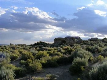 Scenic view of landscape against cloudy sky