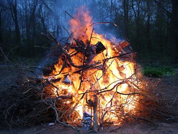 View of fire in the forest