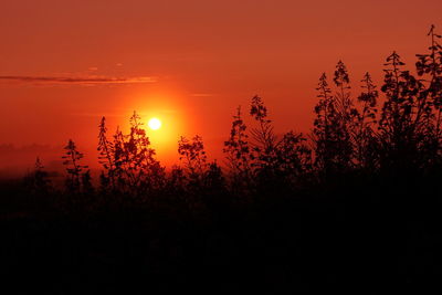 Silhouette trees against sky during sunset