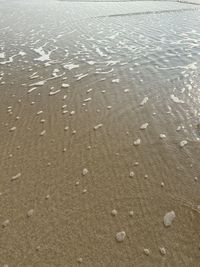 Full frame shot of wet sand