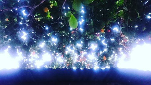 Low angle view of illuminated lights at night