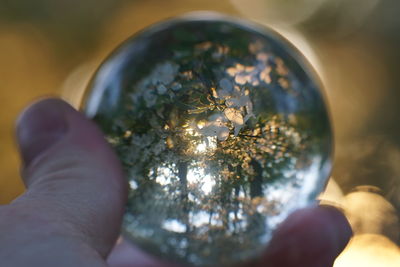 Close-up of hand holding crystal ball against plants