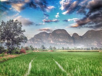 Scenic view of grassy field against cloudy sky