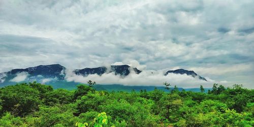 Scenic view of land against sky