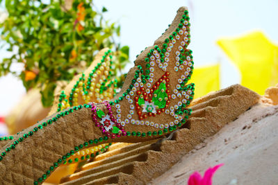 Wishbone flower, bluewings, torenia is is biennial plants that can be released throughout the year