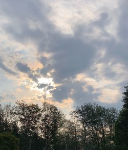 Low angle view of silhouette trees against sky